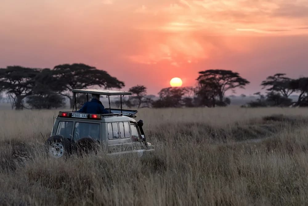 Bird & Wildlife Journeys