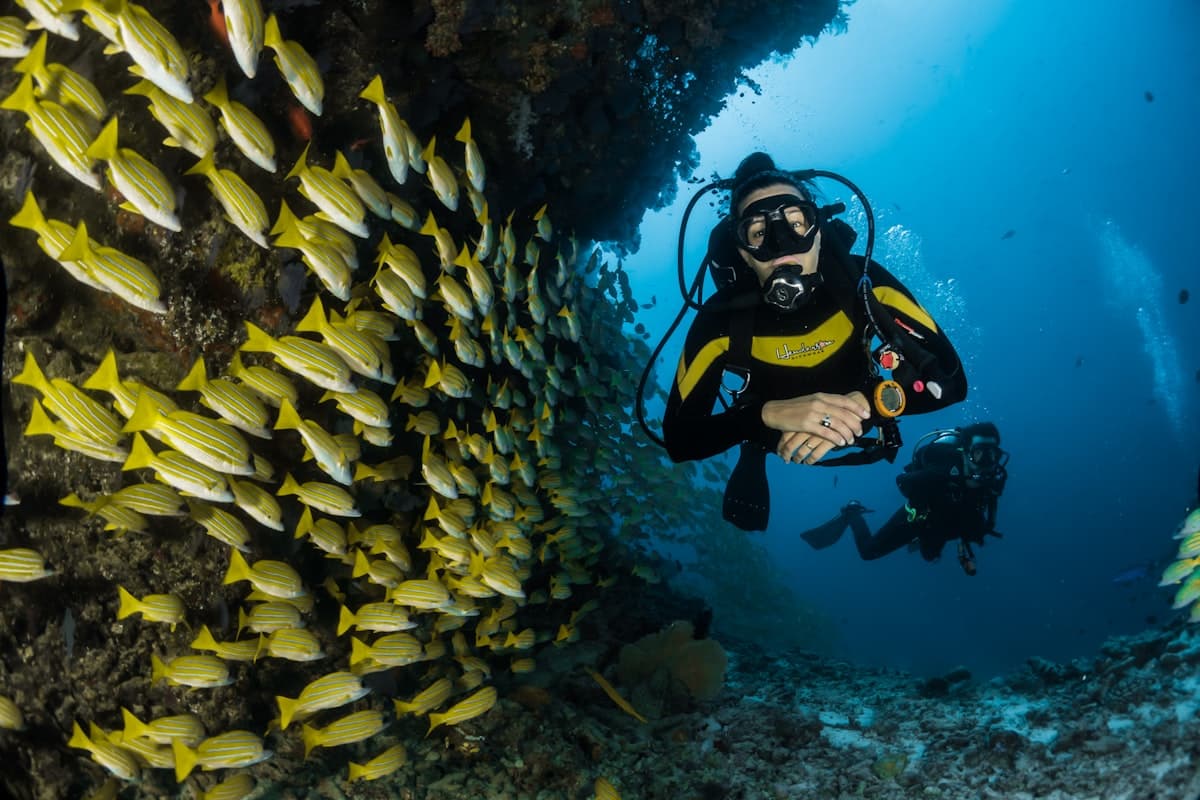 Goa coastline ocean adventure